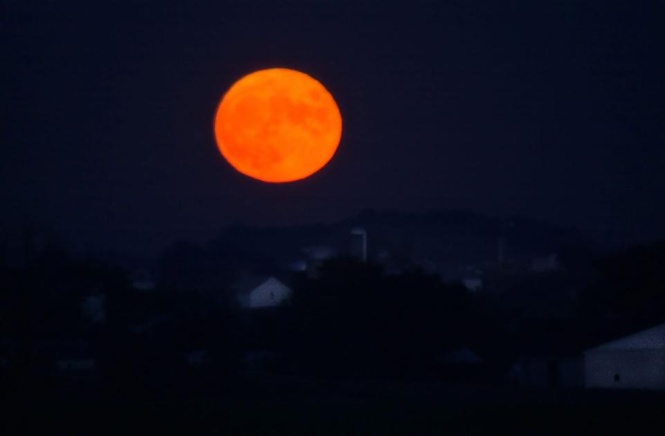 Tre atleti del canottaggio su Luna Rossa