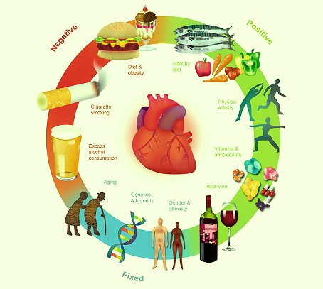 L’importanza dell’esercizio fisico nel controllo dei Fattori di rischio cardiovascolare