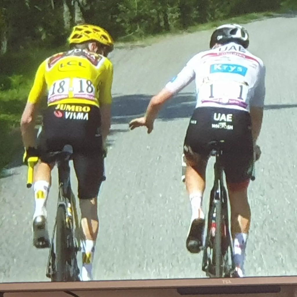 La foto del giorno 