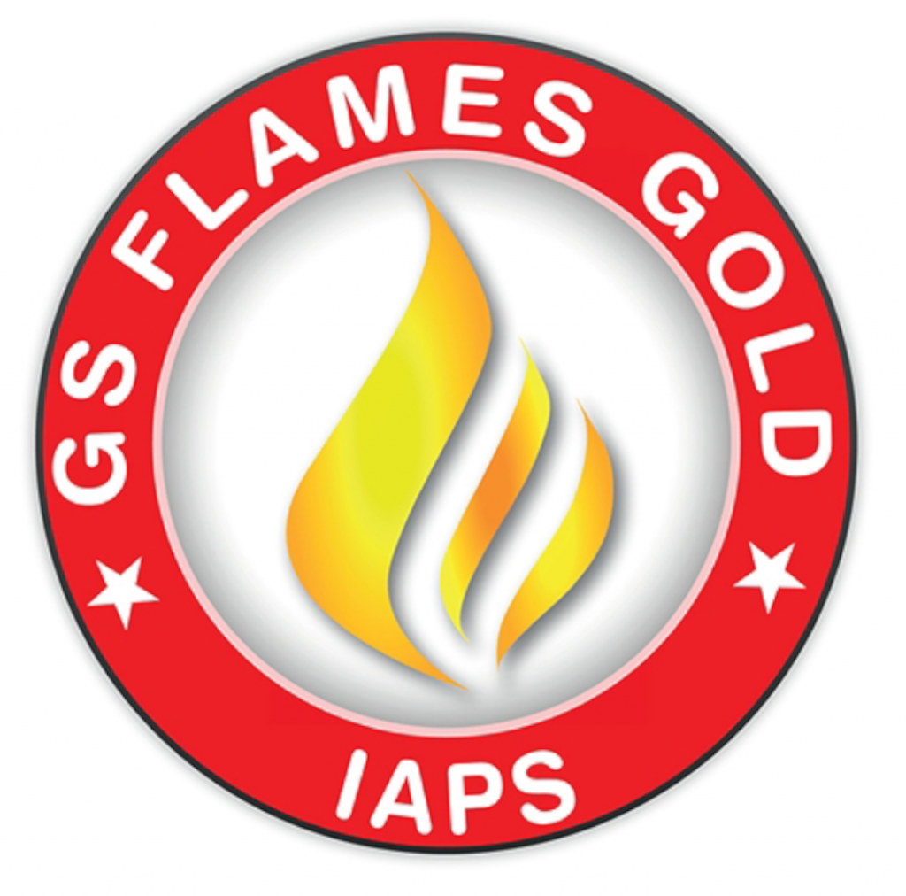 GS FLAMES GOLD UN INTERESSANTE PROGETTO