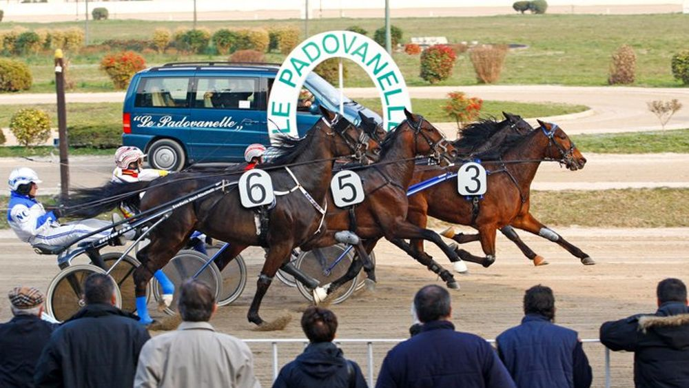 Il 26 maggio a Lucca la grande anteprima del “Bancarella Sport 2025”